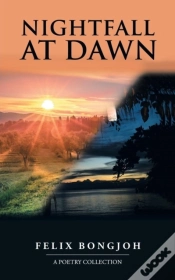 Capa do artigo Nightfall At Dawn