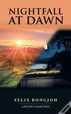 Capa do artigo Nightfall At Dawn