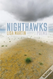 Capa do artigo Nighthawks