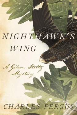 Capa do artigo Nighthawk'S Wing