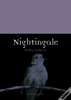 Capa do artigo Nightingale
