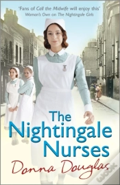 Capa do artigo Nightingale Nurses
