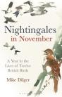 Nightingales In November - Preview