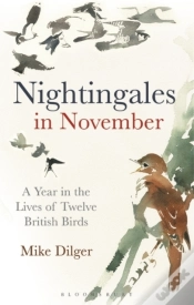 Capa do artigo Nightingales In November