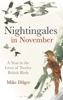 Capa do artigo Nightingales In November