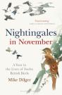 Nightingales In November - Preview