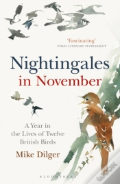 Capa do artigo Nightingales In November