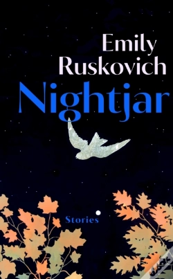 Capa do artigo Nightjar