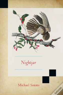 Capa do artigo Nightjar