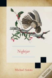 Capa do artigo Nightjar