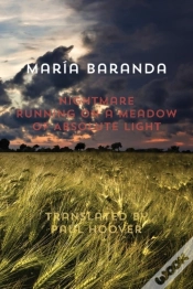 Capa do artigo Nightmare Running On A Meadow Of Absolute Light