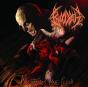 Nightmares Made Flesh - CD - Preview