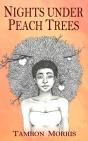 Nights Under Peach Trees - Preview