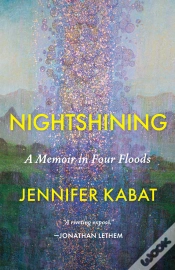 Capa do artigo Nightshining