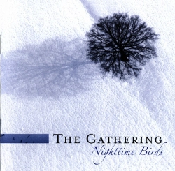 Capa do artigo Nighttime Birds - CD