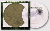 Capa do artigo Nighttime Birds - Vinil