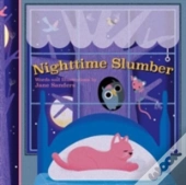 Nighttime Slumber
