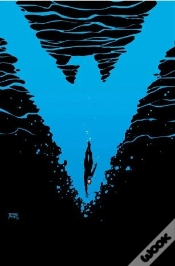 Capa do artigo Nightwing 35