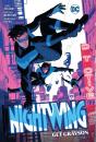 Nightwing Vol. 2 - Preview