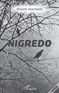 Capa do artigo Nigredo