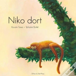 Capa do artigo Niko Dort