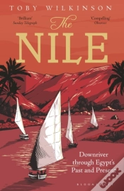 Capa do artigo Nile