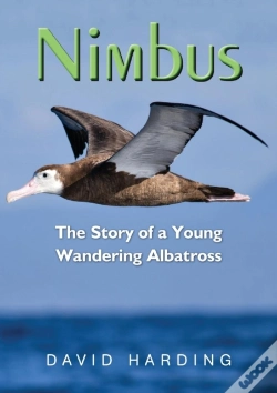 Capa do artigo Nimbus