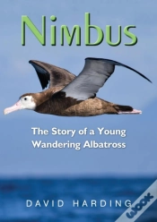 Capa do artigo Nimbus