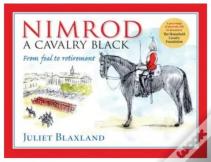 Nimrod: A Cavalry Black