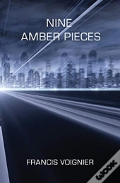 Nine Amber Pieces