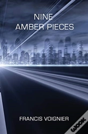 Capa do artigo Nine Amber Pieces