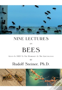 Capa do artigo Nine Lectures On Bees: Given In 1923 To