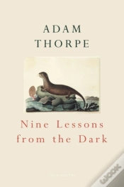 Capa do artigo Nine Lessons From The Dark