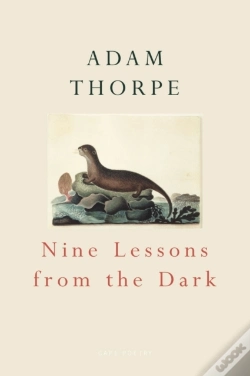 Capa do artigo Nine Lessons From The Dark