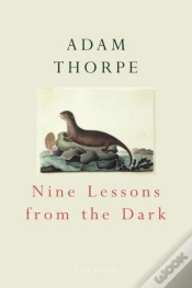 Capa do artigo Nine Lessons From The Dark