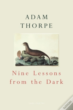 Capa do artigo Nine Lessons From The Dark