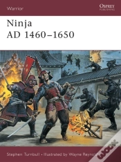 Capa do artigo Ninja Ad 1460 1650