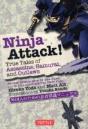 Ninja Attack! - Preview