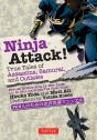 Ninja Attack! - Preview
