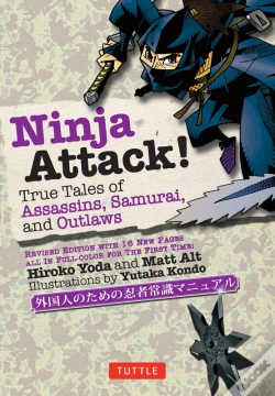 Capa do artigo Ninja Attack!
