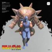 Capa do artigo Ninja Gaiden - Vinil