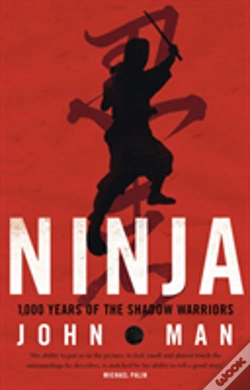 Capa do artigo Ninja