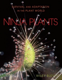Capa do artigo Ninja Plants