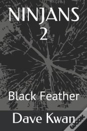 Capa do artigo Ninjans  2: Black Feather