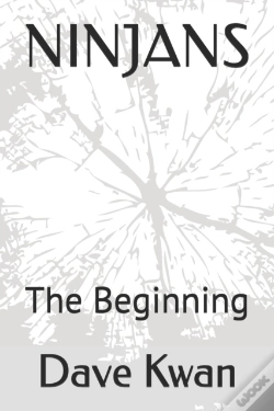 Capa do artigo Ninjans: The Beginning