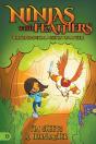 Ninjas With Feathers - Preview