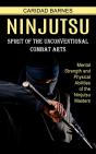 Ninjutsu - Preview