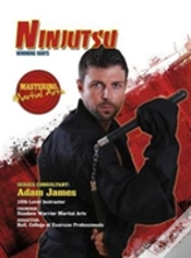 Capa do artigo Ninjutsu: Winning Ways
