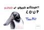 Nino Et Grand Mechant Loup - Preview