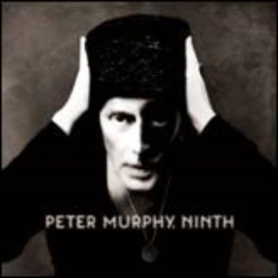 Capa do artigo Ninth - CD